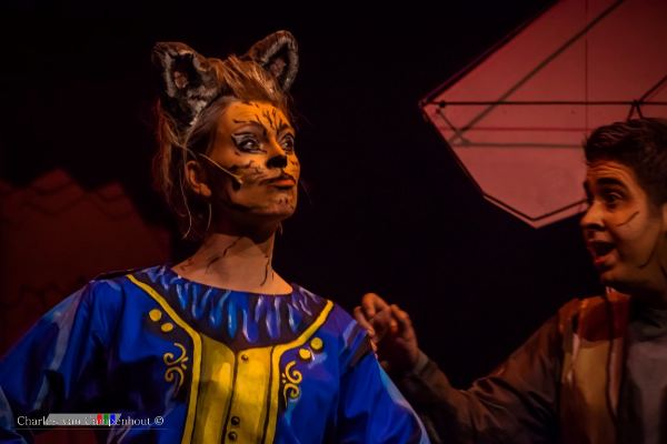 De Gelaarsde Kat foto 100
