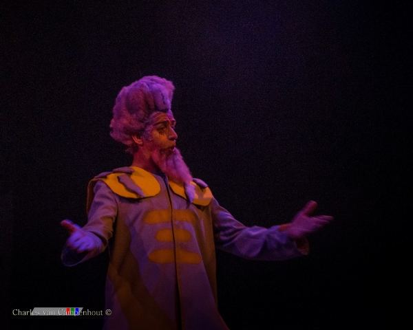 De Wonderbloem foto 5