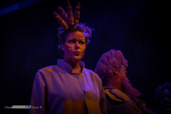 De Wonderbloem foto 28