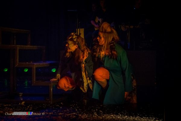 De Wonderbloem foto 35