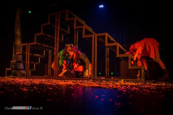 De Wonderbloem foto 40