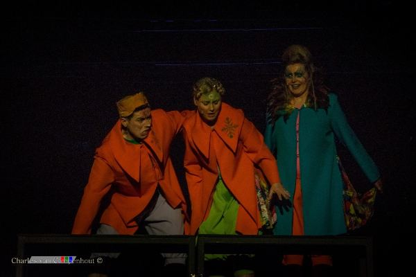 De Wonderbloem foto 71